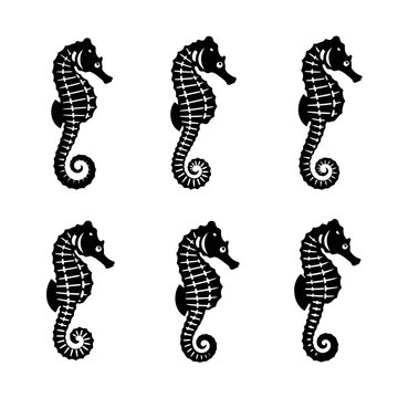 Six Black Seahorse Silhouettes on White Background - Marine Life Pattern