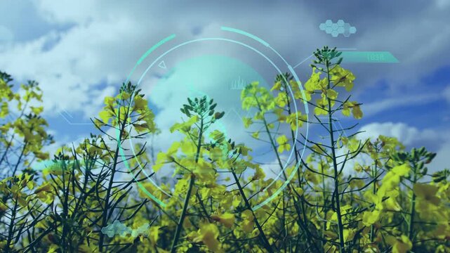 HUD appearing, stalks swaying while rings rotating and icons forming, camera pulling for monitoring