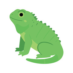 Fototapeta premium Illustration of a green iguana lizard sitting and looking to the side on a white background