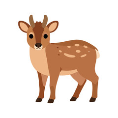 Fototapeta premium Adorable sika deer fawn stands on a white background with a curious expression