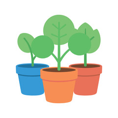 Fototapeta premium Three potted plants of different sizes and shapes arranged together in a group