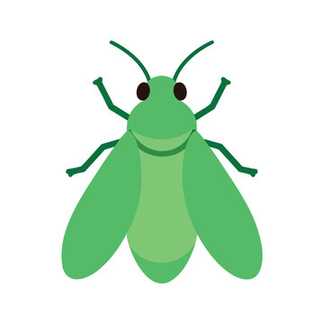 Illustration of a green aphid with wings and antennae on a white background