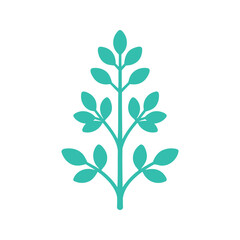 Fototapeta premium Minimalist style sprig of leaves arranged symmetrically in light teal on a white background