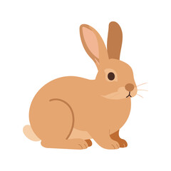 Obraz premium Cute tan rabbit sitting in a resting position on a white background