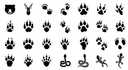 Animal Tracks and Silhouettes Collection: Bear, Deer, Paw Prints, Snake, Lizard © Kali