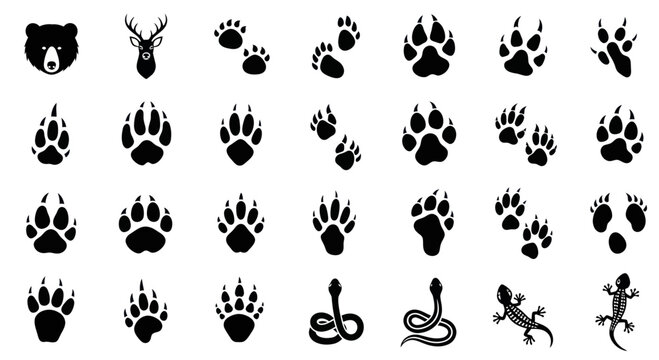 Animal Tracks and Silhouettes Collection: Bear, Deer, Paw Prints, Snake, Lizard