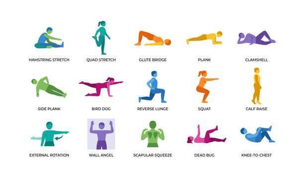 Exercise icons showing stretches and strength moves in grid