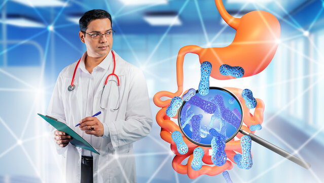 Doctor studies digestive microbiome illustration, examining gut bacteria and gastrointestinal health.