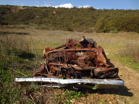 Wrecked Rusty Old Car in Wilderness Area