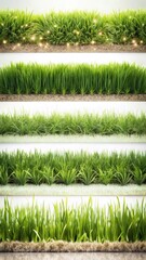 Obraz premium A photo of a collection of real grass borders isolated against a white background The borders are neatly arranged in rows, each with a distinct patte