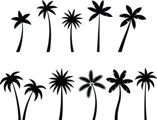 Fototapeta premium Palm tree silhouettes set with various tropical tree shapes isolated on white background for summer beach design use