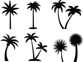 Fototapeta premium Tropical palm tree silhouettes set with various exotic plant shapes isolated on white background for summer and travel design