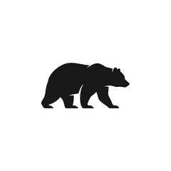 Fototapeta premium Black bear walking profile view.