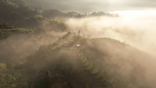 Misty morning landscape with terraced fields winding across rolling hills bathed in soft golden light