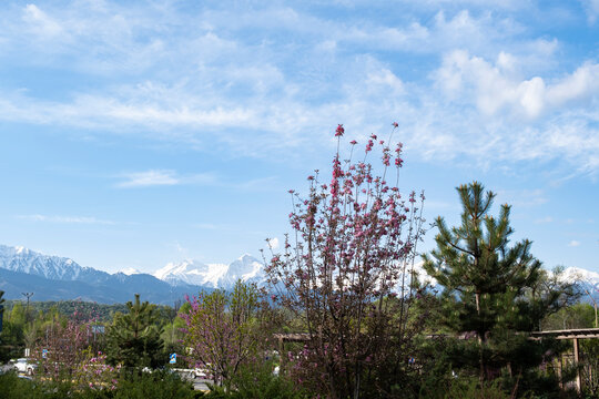 Breathtaking view of the majestic Trans-Ili Alatau mountains from Al-Farabi Avenue in Almaty, Kazakhstan.