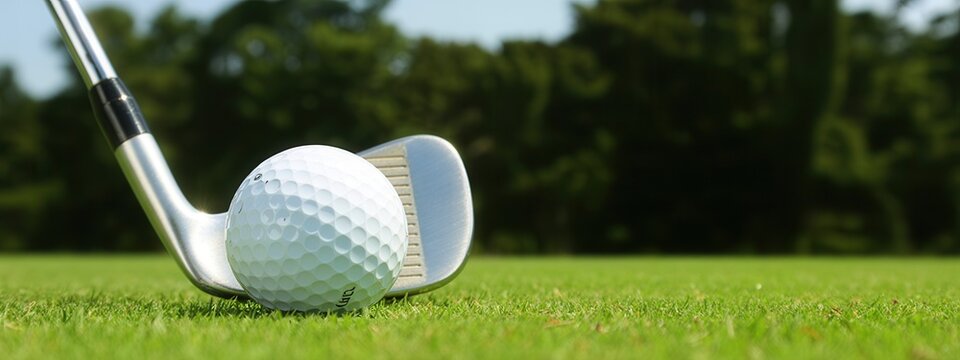 Golf club and ball on green grass with trees in background on sunny day outdoors