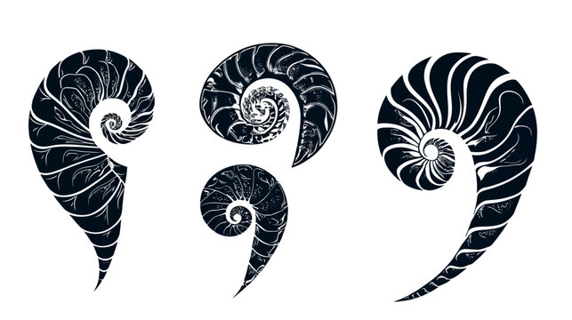 Artistic depiction of three stylized ammonite fossil shells in shades of blue on white backdrop