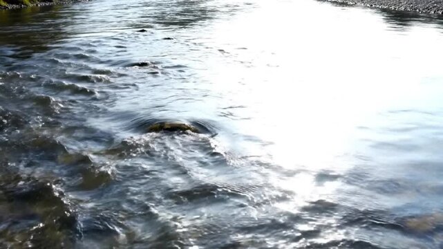 Calm river surface soft flow high key lighting clean minimal banner empty space 4K