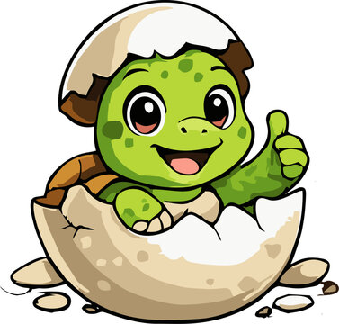 Cute Baby Turtle Hatching from Egg