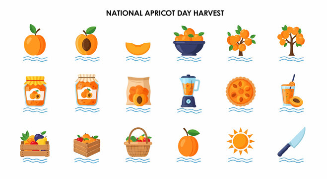 Apricots National Fruit Day Harvest.