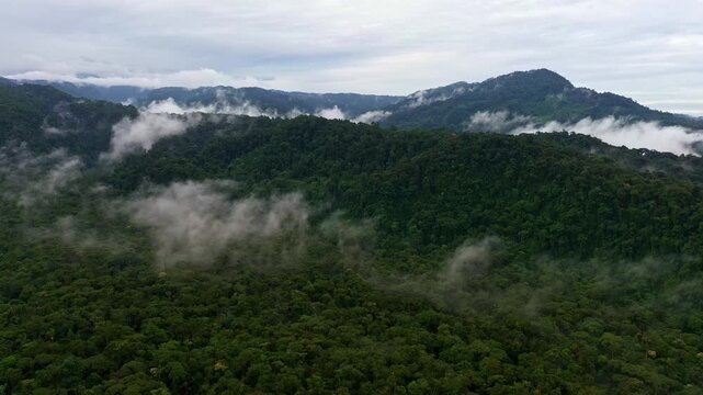 Fog hanging over small hills covered in tropical forest: a stunning nature background
