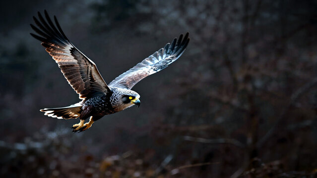 Feral harpy creature diving through frosty shadows in a dramatic winter landscape