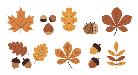 Autumn Leaves and Acorns Collection. © Ndog