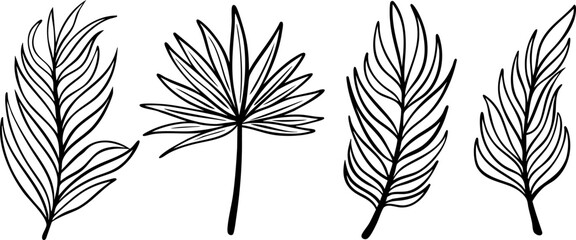 Palm Leaves Doodle Illustration Set. Hand drawn Tropical Leaf Collection. © gozira13