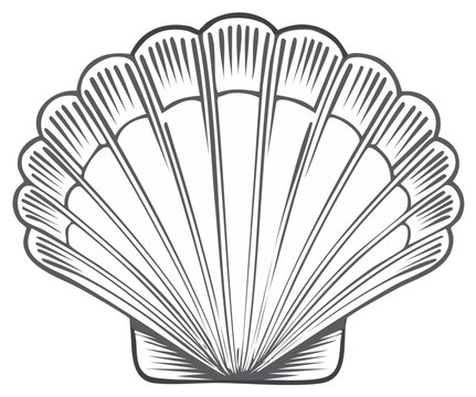 Monochrome seashell illustration elegant aquatic marine life icon art drawing