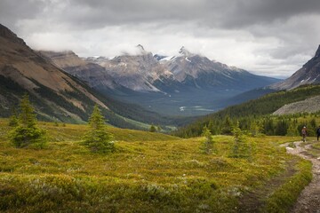 Obraz premium View of Mountain Peaks in Banff National Park in Canada on a Cloudy Summer Day