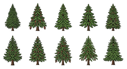 Fototapeta premium Artificial Christmas trees in a row.