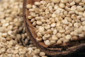 Fototapeta premium Chenopodium quinoa - Organic quinoa seeds