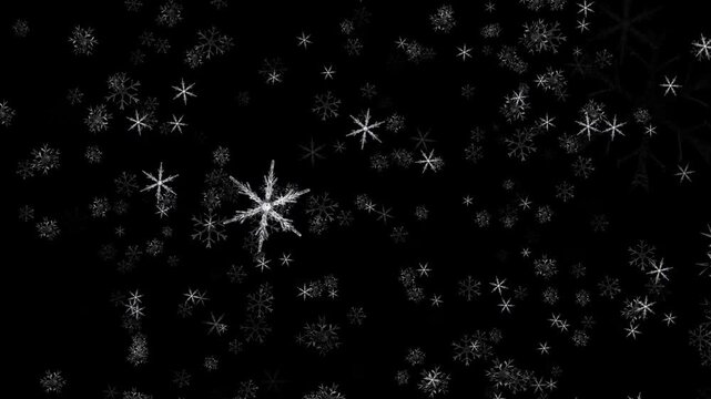 snowflakes on black background motion. star on black background motion video 