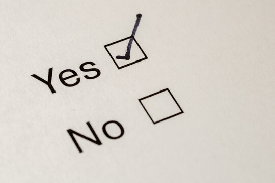 Close-Up of Paper Form with Yes or No Option, Yes Checkbox Ticked