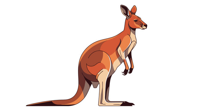 Red kangaroo illustration isolated on a clean white background.