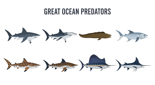 Great ocean predators marine animals sharks.
