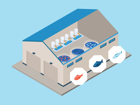 Offshore Wind Farm and Hydroelectric Dam Renewable Energy Concept 3d isometric vector illustration