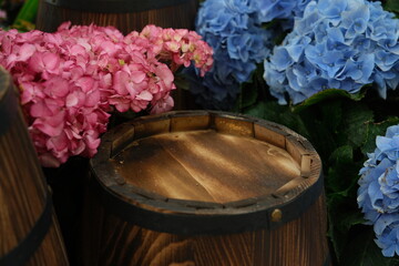 Fototapeta premium Wooden barrel surrounded by clusters of pink and blue hydrangea flowers in close-up