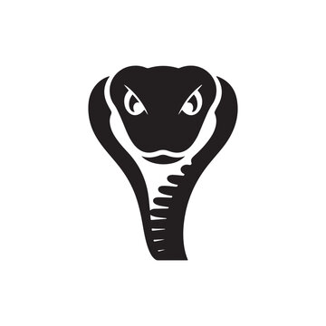 vector logo snake head front on minimalist white background