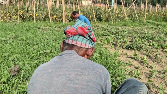 Farmer Working in Field Under Harsh Sun Wearing Traditional Head Wrap