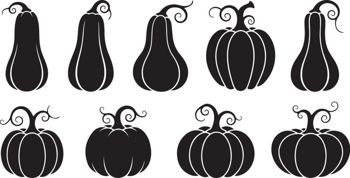 Black and white illustration of various gourds set
