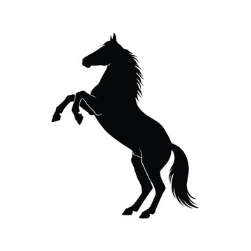 Black silhouette of a horse rearing.
