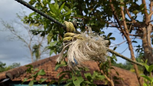 Close Up of Frayed Plastic Rope Knot Connection Tied on a Cable Against Green Trees and House Roof in Tropical Rural Area During Daylight