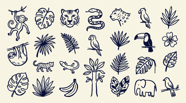 Charming Hand Drawn Jungle Animals and Tropical Plants Collection Featuring Monkeys Sloths Tigers Elephants and Toucans for Wildlife and Nature Designs