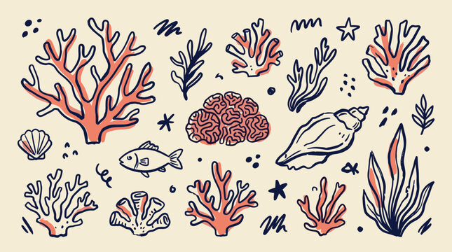 Whimsical hand drawn coral reef elements and sea creatures illustration with fish seashells and seaweed on a light background