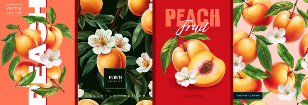Hand drawn set of designs and patterns. Vectorized gouache illustrations. Illustrations of sweet peaches with flowers and leaves for poster, prints, menu, card or textile