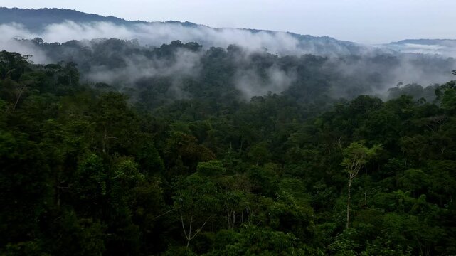 Aerial view over a hilly landscape in the foothills of the Andes mountain range; tropical forest tree canopy visible early in the morning; a nature concept