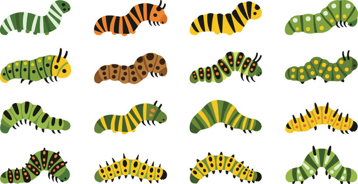 Colorful Caterpillars Set in Flat Style, Collection of Cute Insect Larvae in Different Patterns Vector Illustration