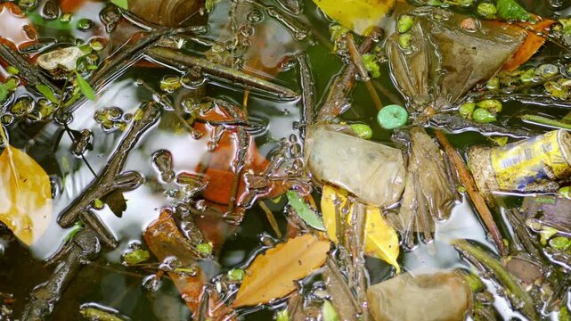 Accumulated Plastic Garbage in Coastal Mangrove Swamp Causing Environmental Damage and Water Pollution. Non Biodegradable Plastic Trash Accumulating in Mangrove Mudflat and Coastal Swamp Environment. 