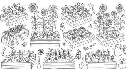 Charming garden scene black and white illustration of plants and gardening tools © aliful